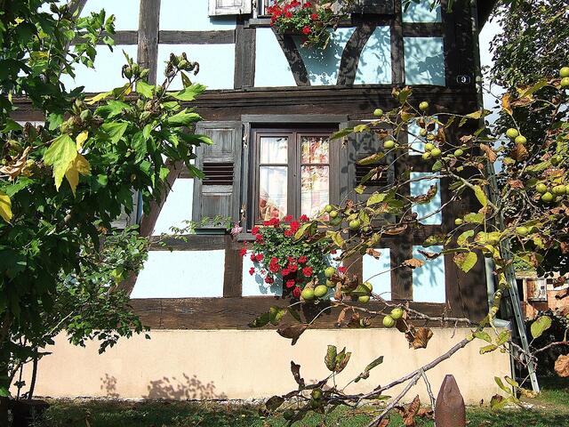 Ein richtig verwunschener Garten ... (Kutzenhausen)