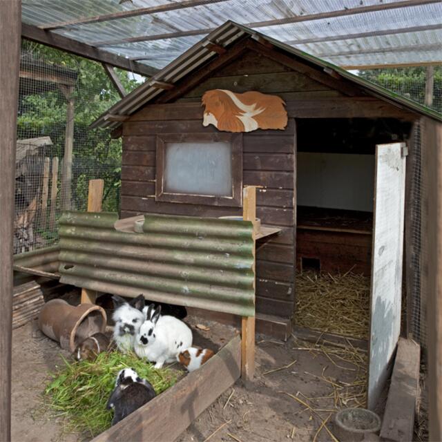 Das zweite neue "Nager-Paradies". Wie man sieht, fühlen sich seine Bewohner schon sichtlich wohl.