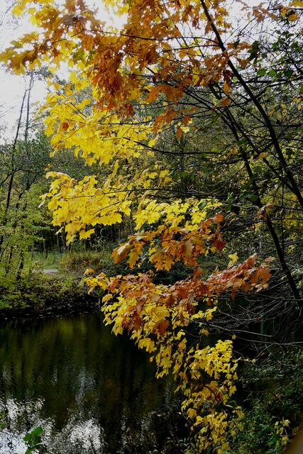 An der Stever zwischen Hullerner und Halterner See
