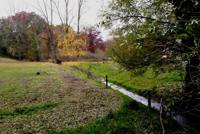 Nahe der Sterverquelle in Stevern, Baumberge