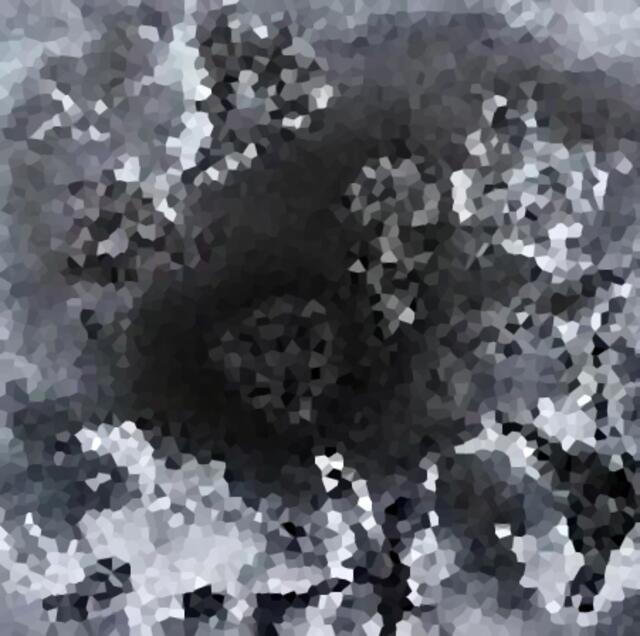 Kristallisationen - ars evolutoria (EVO-Art, evo-devo-art).