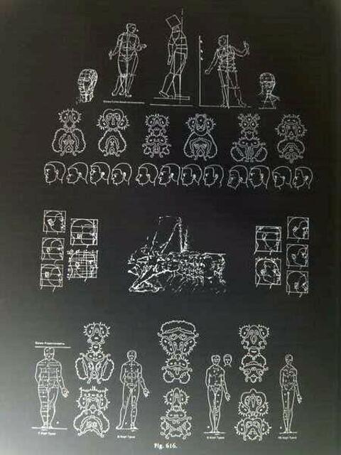 DÜRER-Transformationsstudien und ars evolutoria. Mehr zur Abbildung in Hahns Symmetriebüchern: deutsch 1989 - englisch 1998.