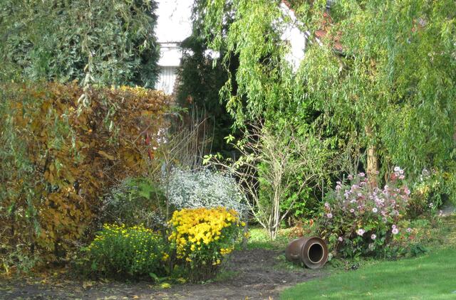 ...gelbe und rosa Astern, weißes Septemberkraut...