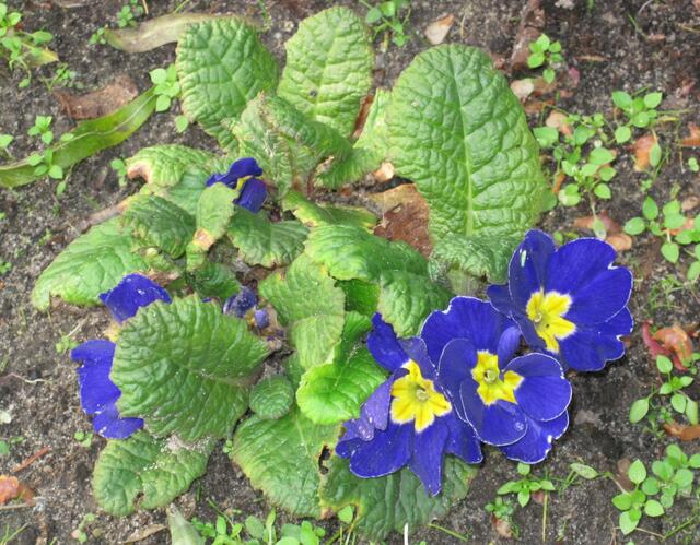 ...wo sind meine Geschwister, bin ich zu früh?...