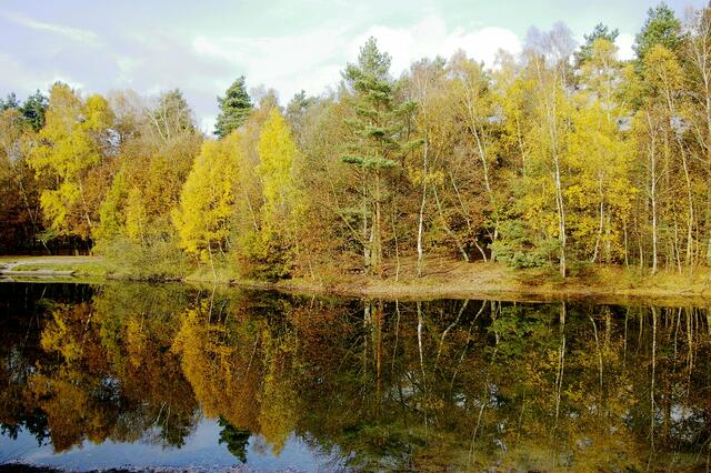 Blick zum anderen Ufer, wo die Sonnenstrahlen hinlangen