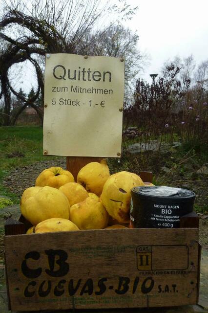 Lecker, Quittengelee