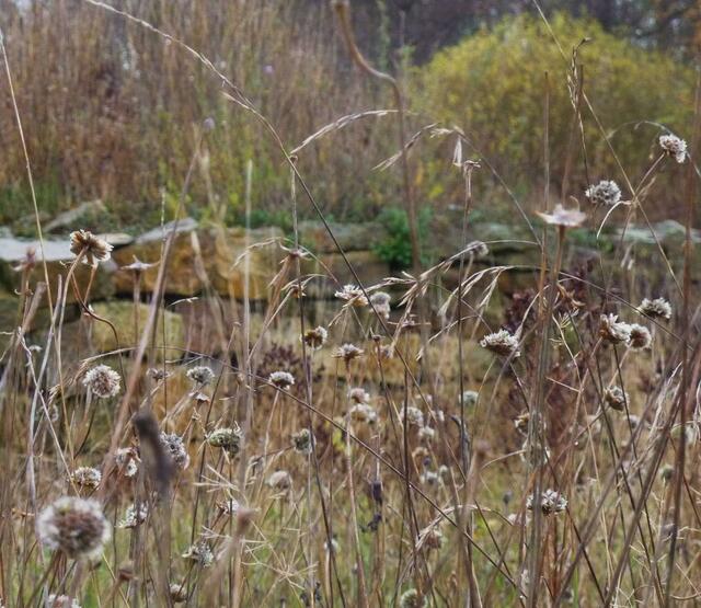 Die Beete sind von schönen Natursteinmauern eingefasst