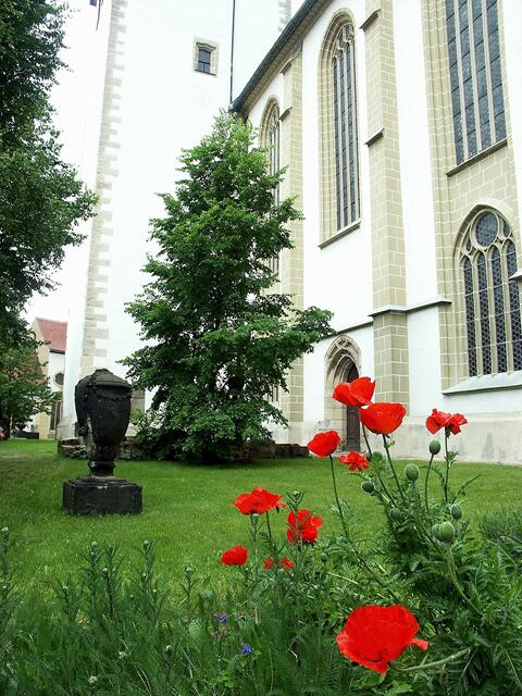 Seitenansicht des Doms