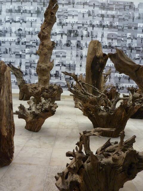 Im HdK blicken die in Einzelporträts als Fototapete gestalteten Männer und Frauen auf "Rooted upon". Baumwurzelteile symmetrisch auf &#8222;Soft Ground&#8220; (2009) arrangiert, einem in der Provinz Hebei gewobenen Wollteppich von 380 Quadratmetern.