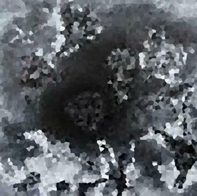 "Kristallisation Nachurknall-Seinshaftigkeiten": Evo-Art, evo-devo-art, ars evolutoria, science art (...).
