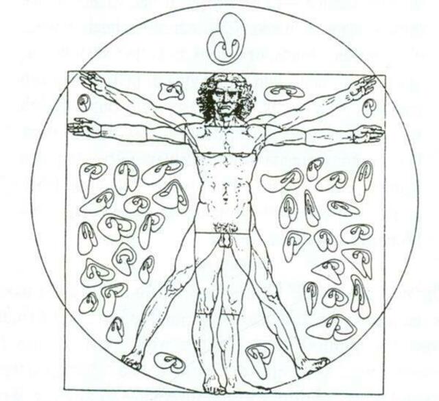 "Trasmutazione di forme" - LEONARDOs Empfehlung. Kompositionsstudie des Künstlerforschers mit Symbolen des Weltalls nach VITRUV: Kreis und Quadrat.