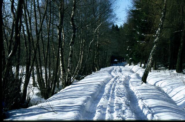 Auto - und Skispur im hohen Schnee