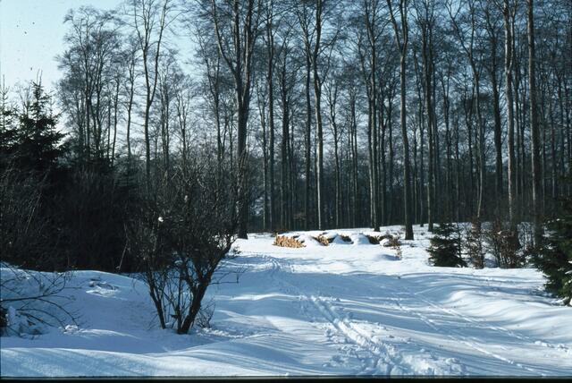 Winteridylle