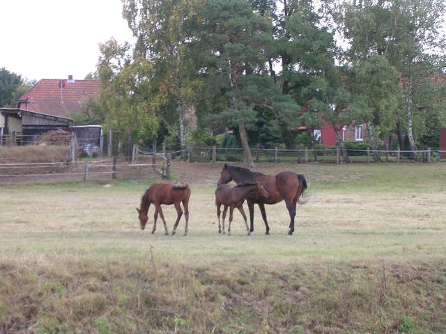 Idylle am Uferrand