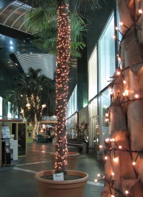 Adventsstimmung unter Palmen im Eingangsbereich