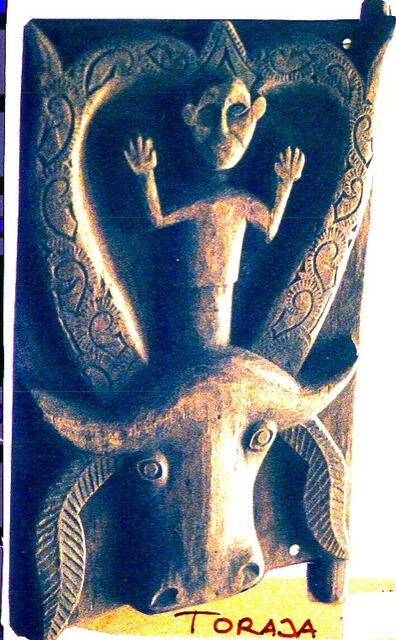 Trauergestus auf Stier, als Speicher der Lebenskraft, Toraja, Sulawesi