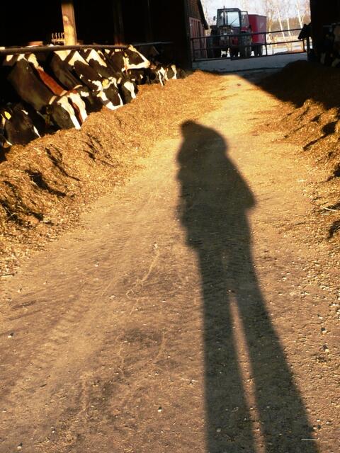 Schattenspiel