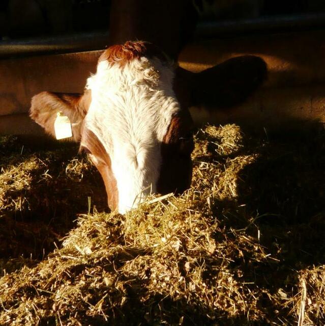 Hunger!!!!