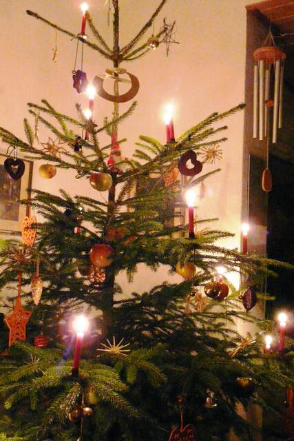 Unser Weihnachtsbaum