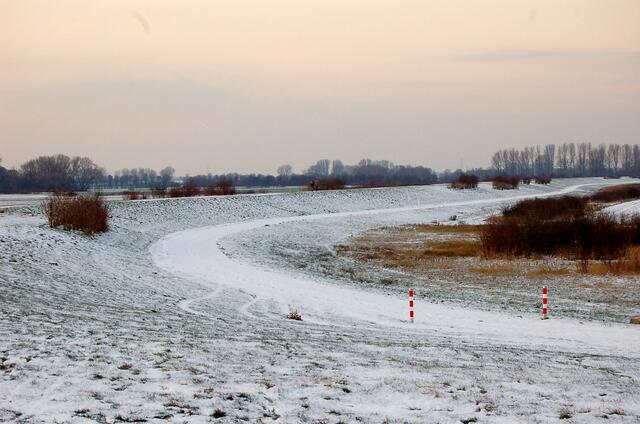 Rheindeich mit für den Niederrhein typischer Auenlandschaft