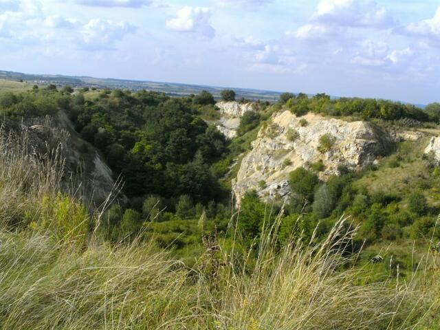 Schlucht am Riegelberg