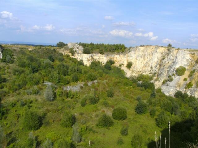 Schlucht am Riegelberg