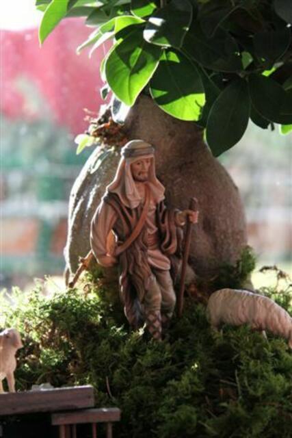 NEUHEIT - Hirt auf dem Weg - echter Minibaum - Hauskrippe 2009
