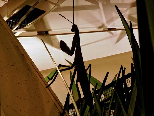 Insekten ganz groß