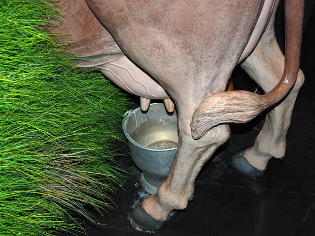 Dafür brauchen sie frisches Gras ...