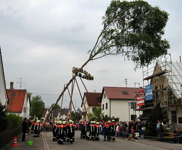 KEIN Christbaum