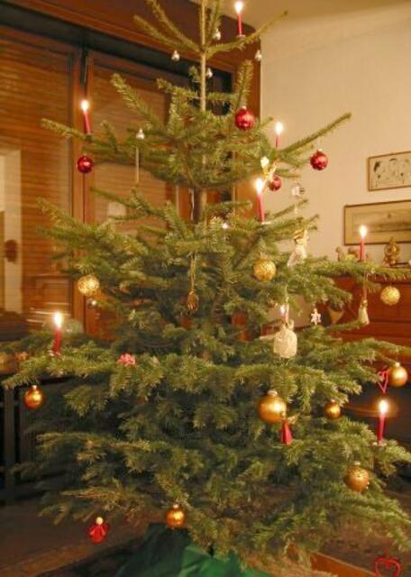Ein wikipedischer Christbaum | Foto: Danke an Magnus Manske (Ein Weihnachtsbaum in einem deutschen Haushalt ... http://de.wikipedia.org/wiki/Datei:Christmas_tree.jpg  )