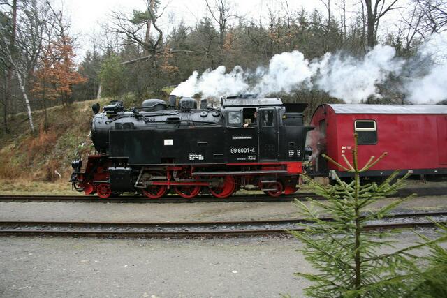 Die 6001 (Einheitslok Bj.1939, 540PS, 50km/h) im Bhf. Mägdesprung