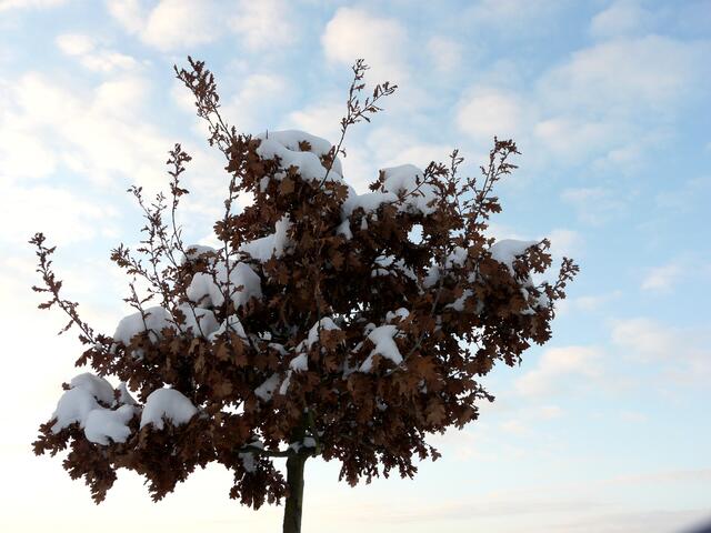 Am 4. Januar zeigt sich der Himmel auch wieder blau und sonnig.