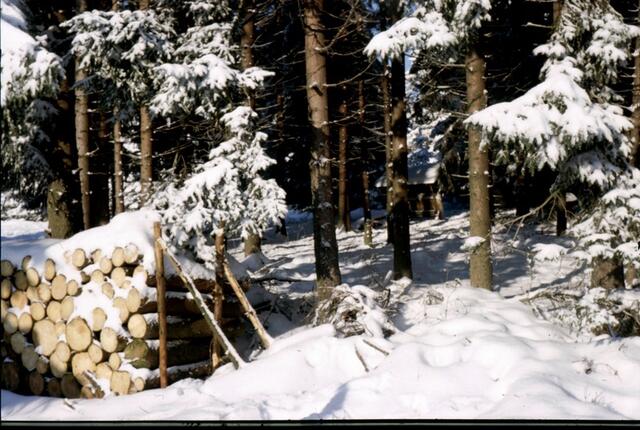 Winter im Hinterland