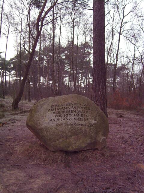 Gedenkstein für den Namensgeber des Waldes