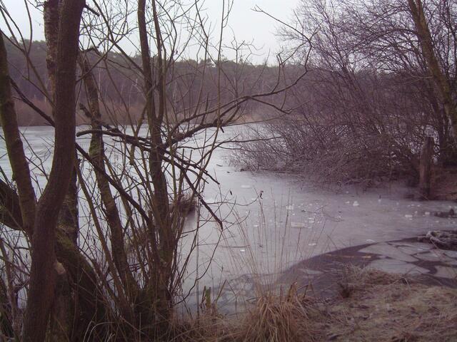 Am See im Wernerwald.