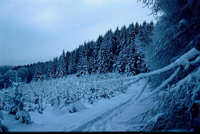 Winter im Hinterland