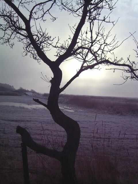 Im Gegenlicht am Sahlenburger Strand.