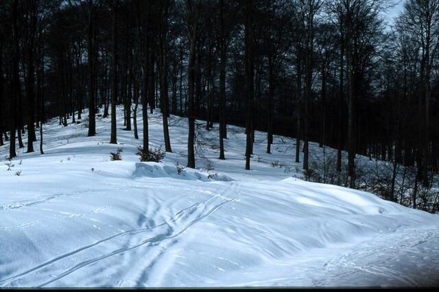 Skiwandern auf der "Sackpfeife"