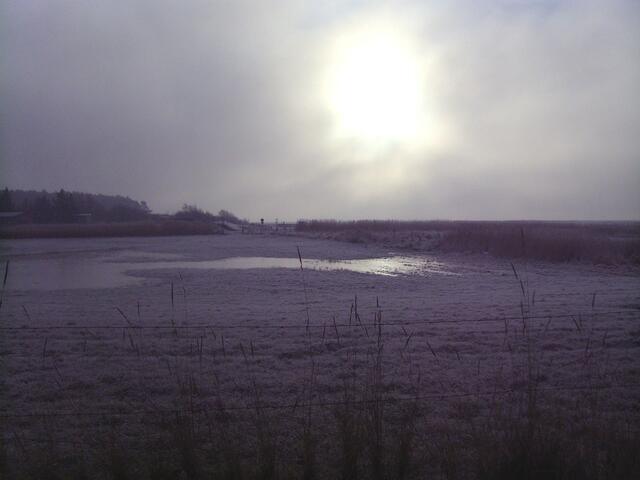Vollmondstimmung, es ist aber die Sonne.