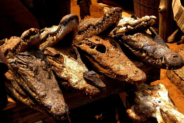 Fetische zum Verkauf an Voodoohexer in Lome