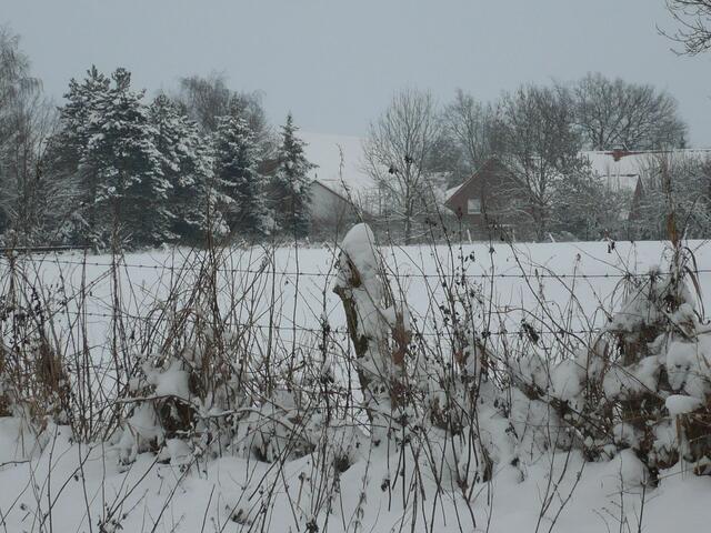 Zaun im Winter