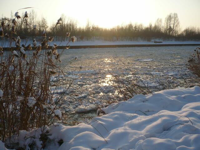 Winter am Mittellandkanal