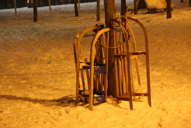Einsame Schlitten. (Foto: Gerhard Pohl)