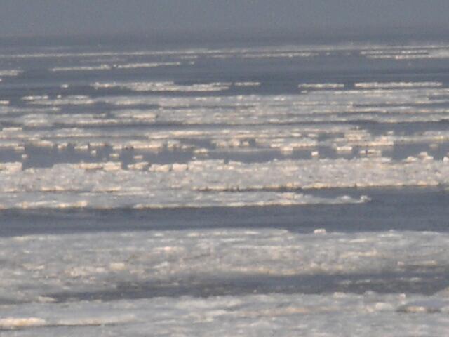 Könnte doch auch im nördlichen Eismeer sein