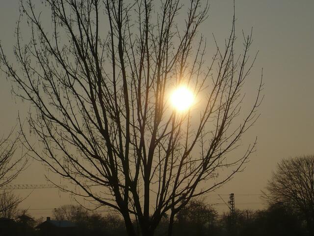 Abendsonne