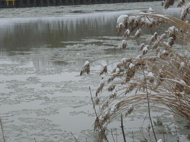 Eis auf dem Kanal