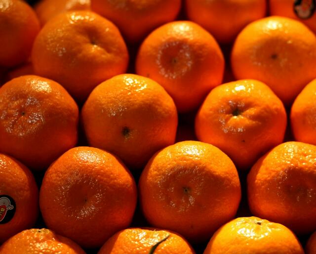 Mandarinen immer wieder lecker