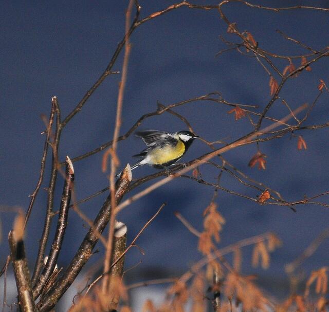 Externer Blitz - Entfernung ca. 15 m