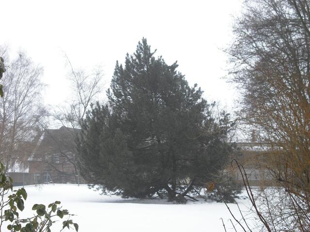 Montag, 18. Januar